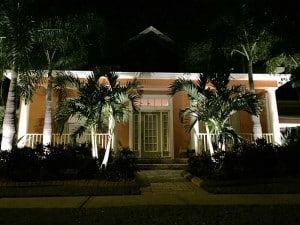 nighttime-uplight-palms