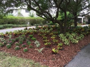 outdoor-many-small-plantings