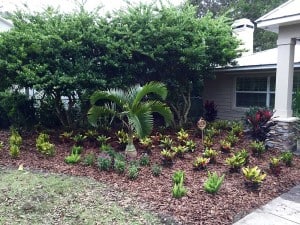 outdoor-small-plantings