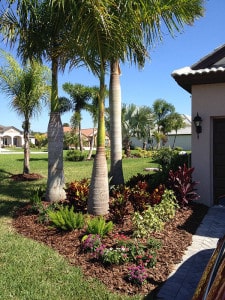 Landscaping in Tampa