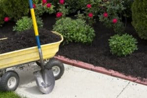 Using Your Stimulus to Refresh Your Landscaping