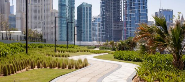 Commercial landscaping design by Oasis Palms & Landscaping