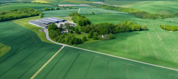 How Do I Make Sure My Commercial Landscape Project Is Completed in Time?