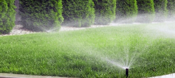 Irrigation System Basics: How to Keep Your Landscape Watering Efficiently Without Wasting Money